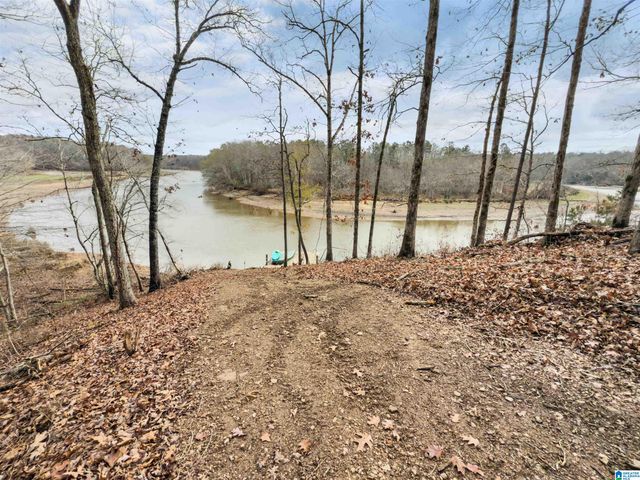 463 WILDBERRY LANE, Newell, AL 36280