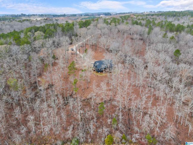 463 WILDBERRY LANE, Newell, AL 36280