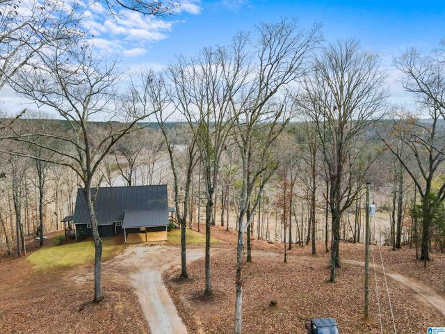 463 WILDBERRY LANE, Newell, AL 36280