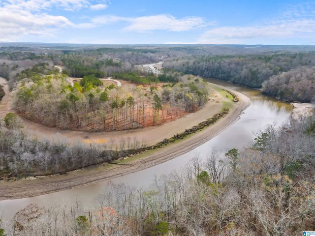 463 WILDBERRY LANE, Newell, AL 36280