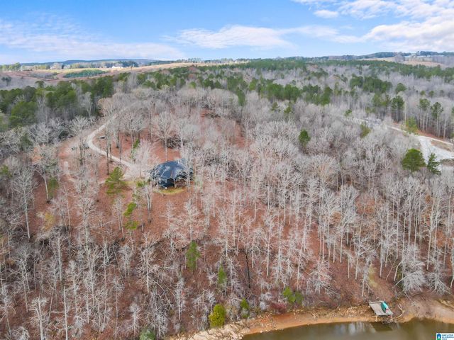 463 WILDBERRY LANE, Newell, AL 36280