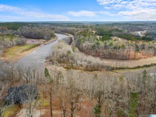 463 WILDBERRY LANE, Newell, AL 36280