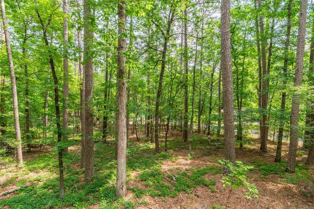 64 Pontevedra Drive, Hot Springs Village, AR 71909