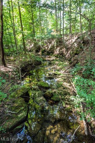 831 Meadowbrook Drive, Aurora, OH 44202