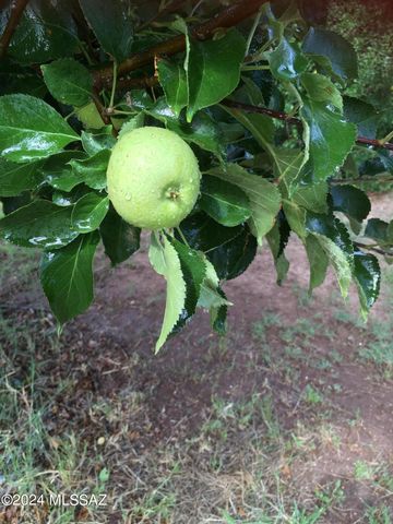 6040 11050 N FORT GRANT Road, Willcox, AZ 85643