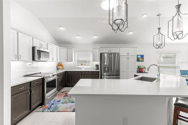 1078 MAYNARD PATH, The Villages, FL 32163