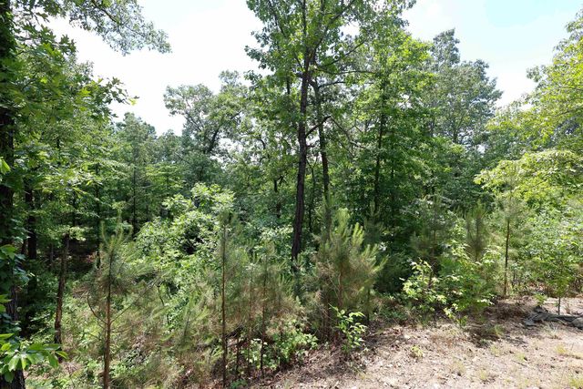 162 Blue Bonnet Trail, Hot Springs National Park, AR 71909
