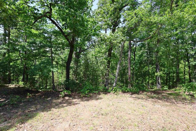 162 Blue Bonnet Trail, Hot Springs National Park, AR 71909