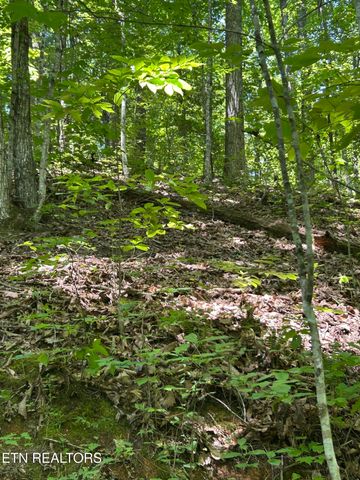 Lot 5B Huntleigh Court, Kodak, TN 37764