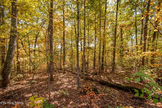 5232 Beverly Oaks Drive, Knoxville, TN 37918