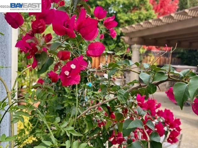 3421 Blackhawk Meadow Drive, Danville, CA 94506