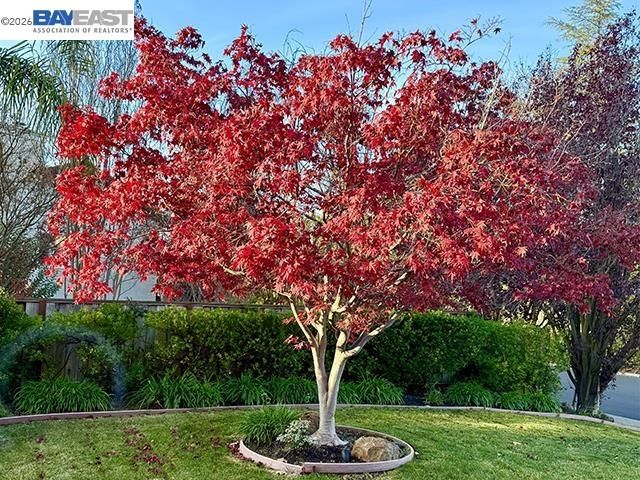 3421 Blackhawk Meadow Drive, Danville, CA 94506