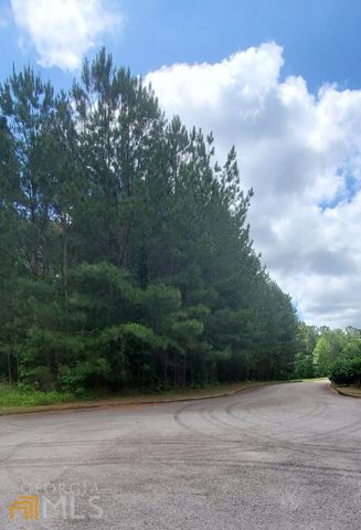 136 SE Harrison Place, Hampton, GA 30228