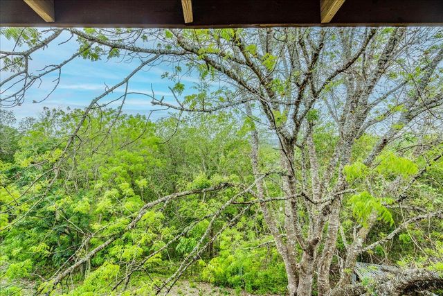 921 Peggys CV, Kyle, TX 78640