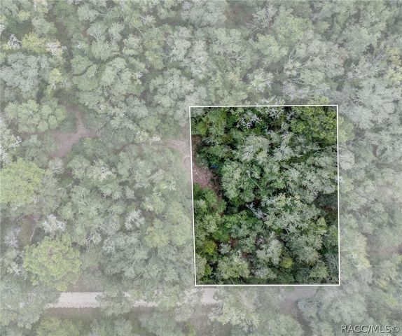35 N Baker Terrace, Inverness, FL 34453