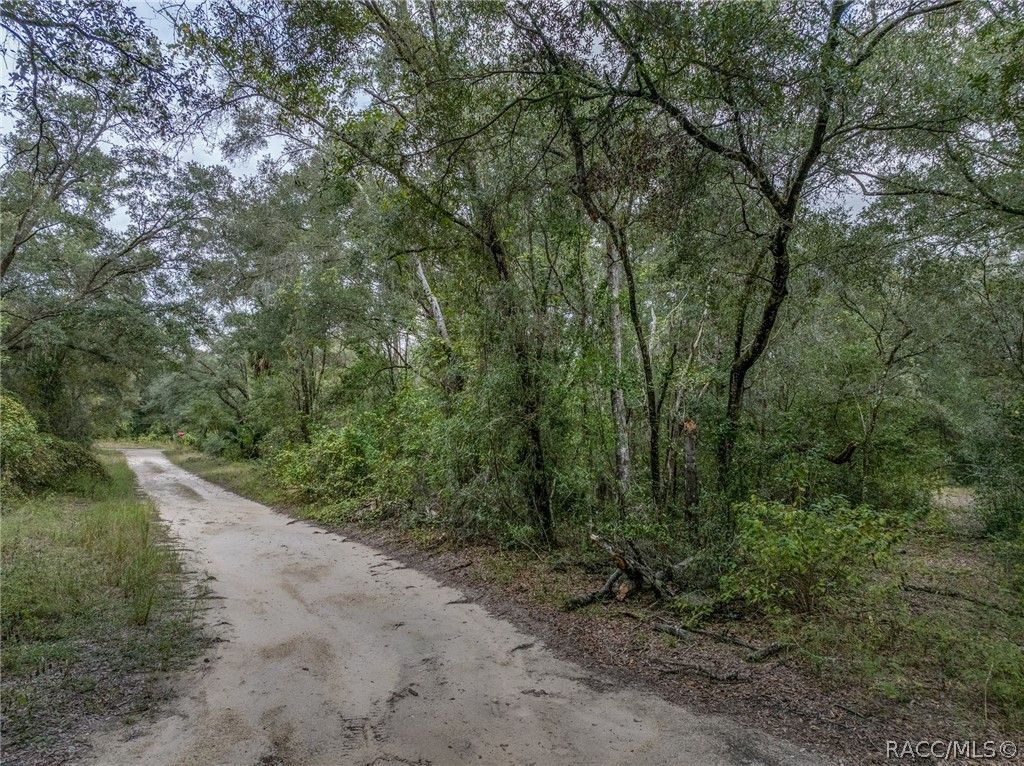 35 N Baker Terrace, Inverness, FL 34453
