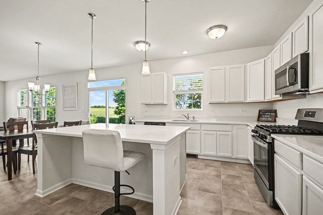 26530 W Red Apple Road, Plainfield, IL 60585