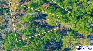 Lot 14 Tee Circle, Darlington, SC 29532