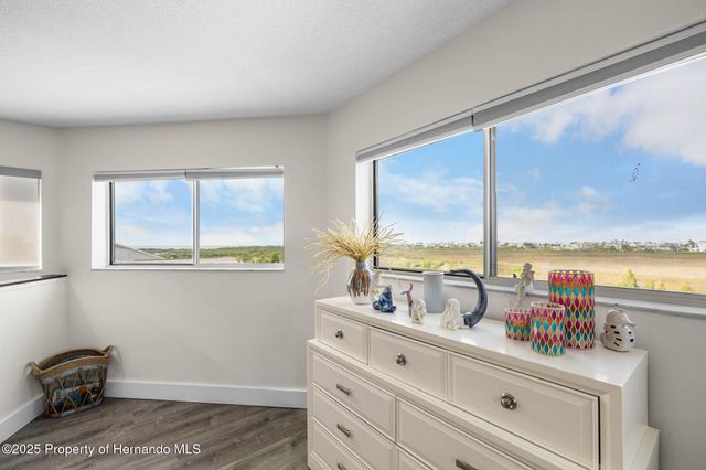 3460 Crape Myrtle Drive, Hernando Beach, FL 34607