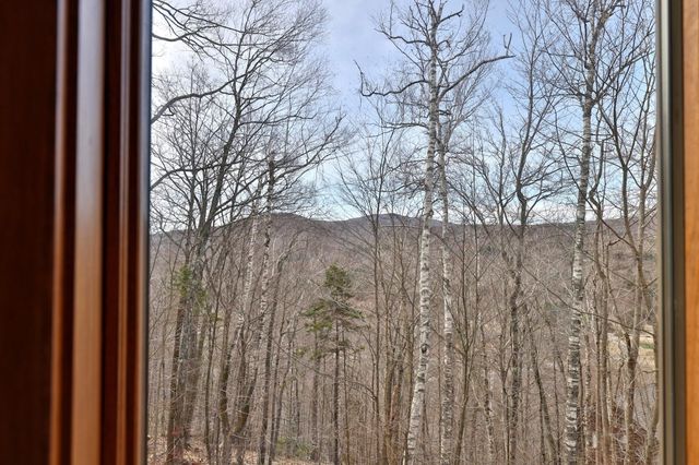 78 Coopers Trace, Plymouth, VT 05056