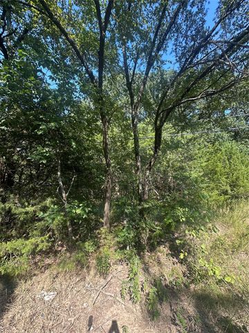Lots 106-109 PR 3837, Quinlan, TX 75474