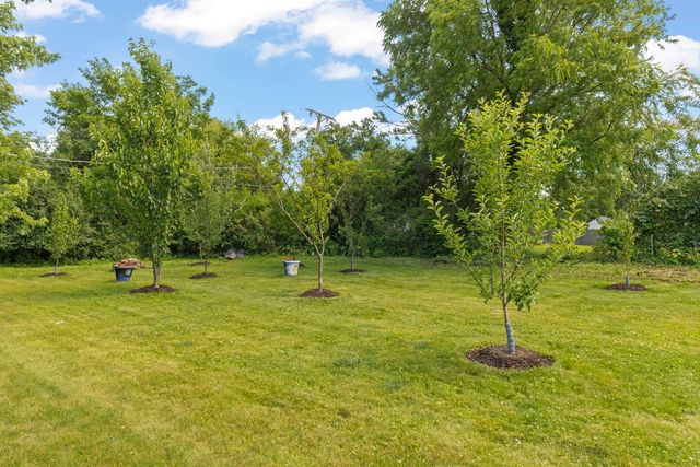 517 N Warwick Avenue, Westmont, IL 60559