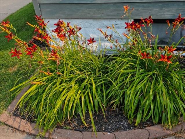 612 W Eau Claire Street, Rice Lake, WI 54868