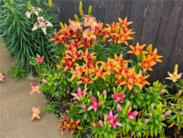 612 W Eau Claire Street, Rice Lake, WI 54868