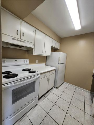 9209 TUDOR DRIVE C203, Tampa, FL 33615