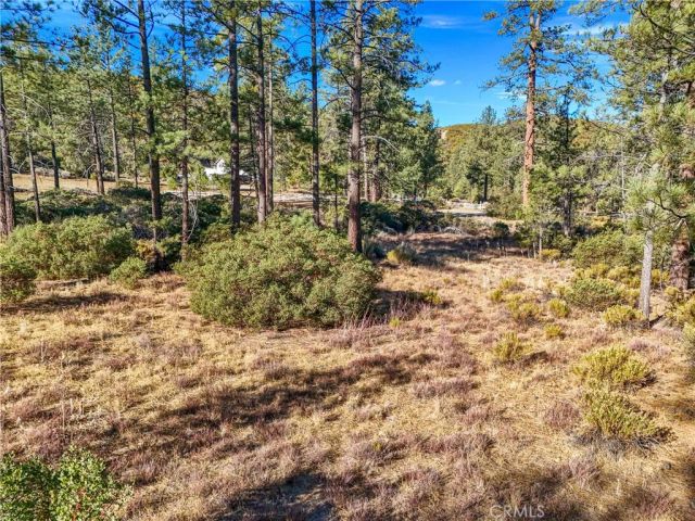 1 Pipe Creek, Mountain Center, CA 92561