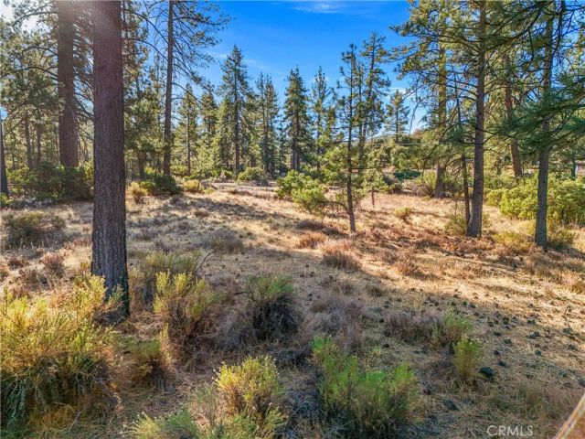 1 Pipe Creek, Mountain Center, CA 92561