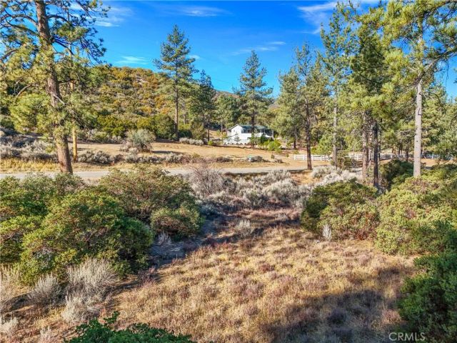 1 Pipe Creek, Mountain Center, CA 92561