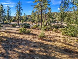 1 Pipe Creek, Mountain Center, CA 92561