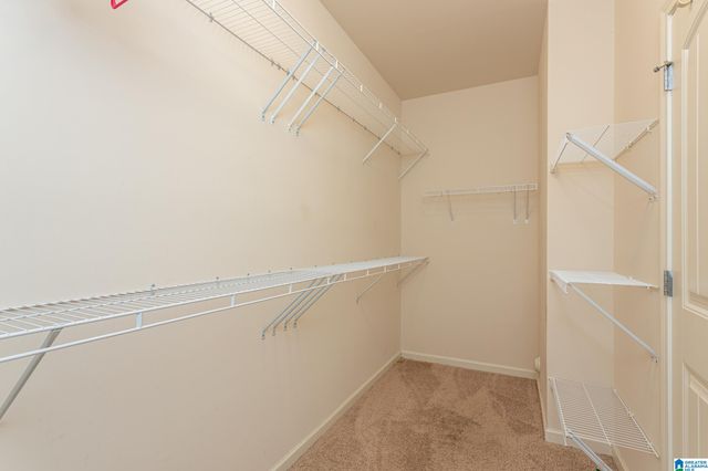 321 BLACKBERRY BOULEVARD, Springville, AL 35146