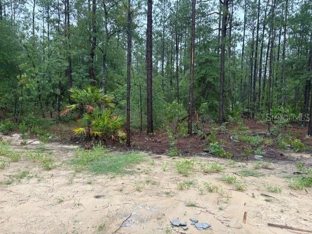 13510 SW 64TH STREET ROAD, Ocala, FL 34481