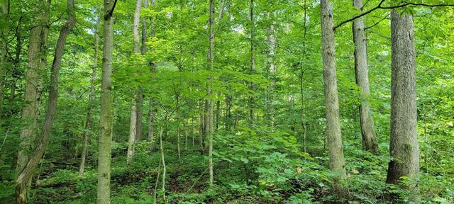 High Gap Road, Shoals, IN 47581