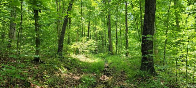 High Gap Road, Shoals, IN 47581