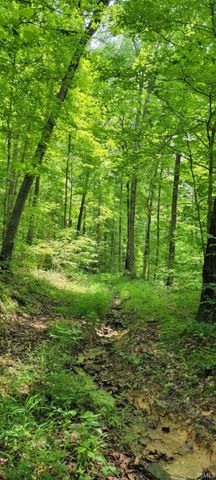 High Gap Road, Shoals, IN 47581
