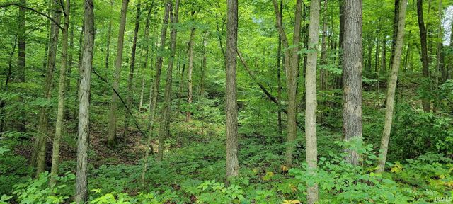 High Gap Road, Shoals, IN 47581