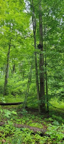High Gap Road, Shoals, IN 47581
