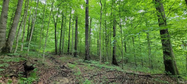 High Gap Road, Shoals, IN 47581