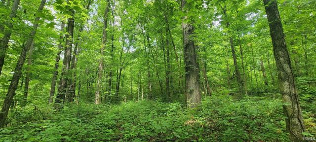 High Gap Road, Shoals, IN 47581