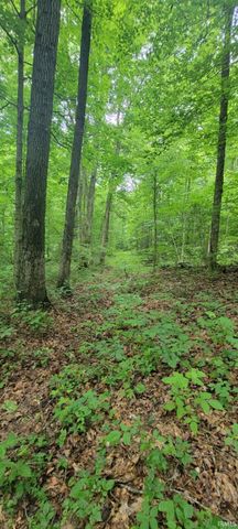 High Gap Road, Shoals, IN 47581