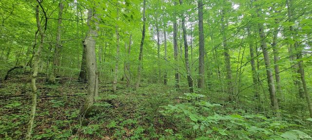 High Gap Road, Shoals, IN 47581