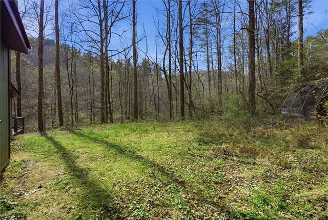 1780 Conasauga Road, Ellijay, GA 30540