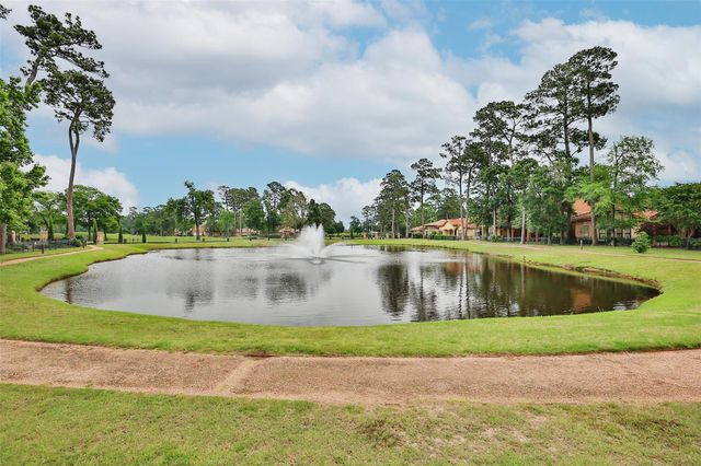 3023 Serena Vista Way, Houston, TX 77068