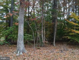 224 WOODSIDE LANE, Ruther Glen, VA 22546