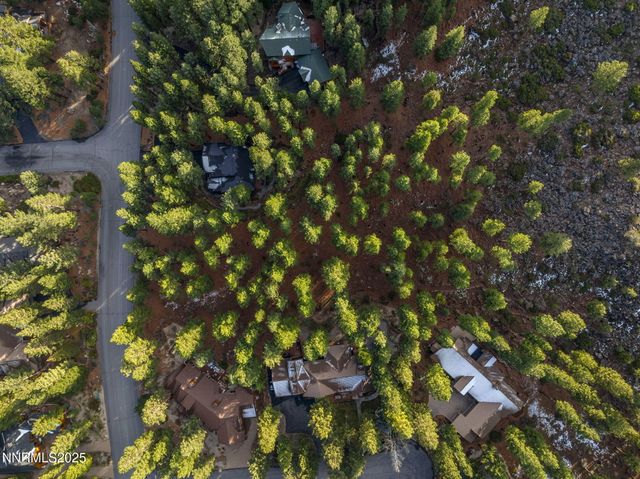 1385 Austrian Pine Road, Reno, NV 89511