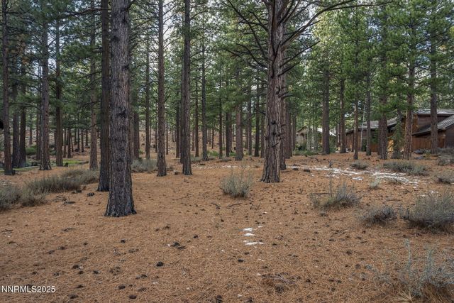 1385 Austrian Pine Road, Reno, NV 89511