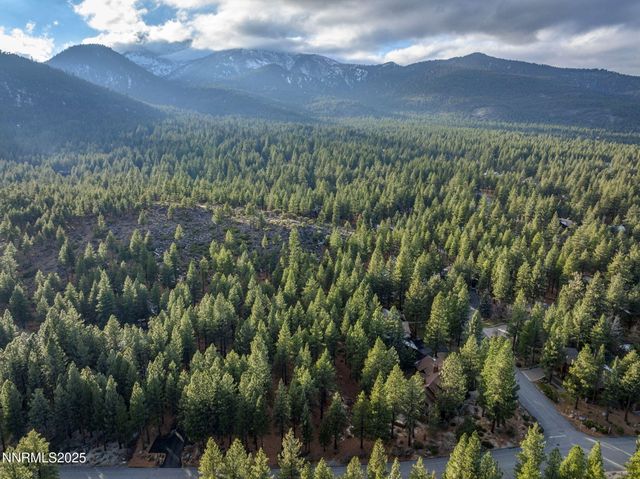 1385 Austrian Pine Road, Reno, NV 89511